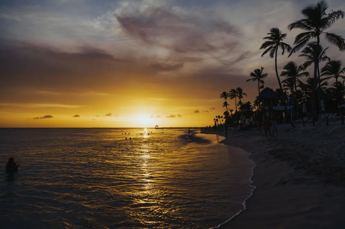 Coucher de soleil doré sur une plage tropicale bordée de cocotiers, baigneurs dans la mer au crépuscule