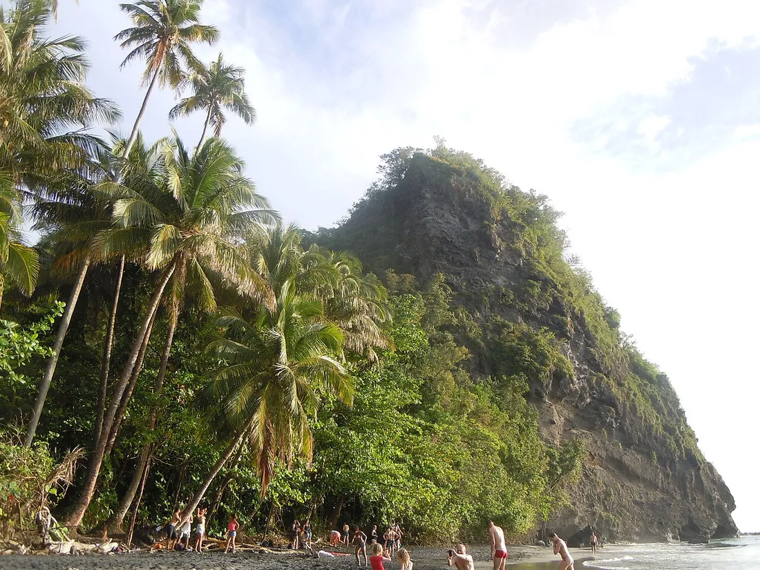 Plage de l'Anse Couleuvre au nord de la Martinique, son sable noir volcanique bordé de cocotiers et la falaise du Morne du Céron
