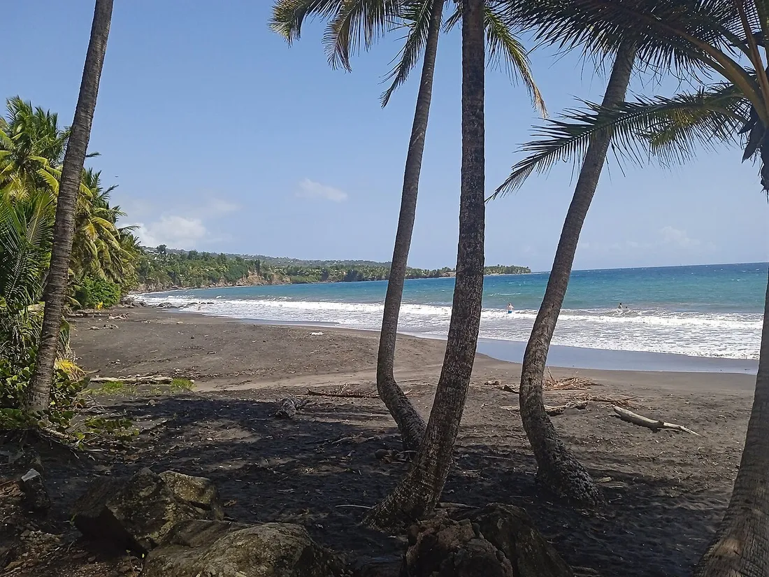 Plage de sable noir volcanique de Grande Anse à Trois-Rivières, sur la côte sud de Basse-Terre en Guadeloupe, bordée de cocotiers face à la mer turquoise