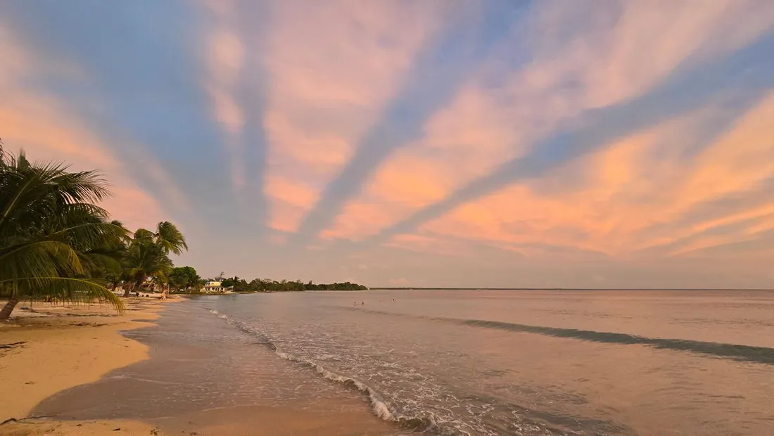 Coucher de soleil aux teintes roses et orangées sur une plage des Caraïbes bordée de cocotiers, mer calme et sable doré au couchant