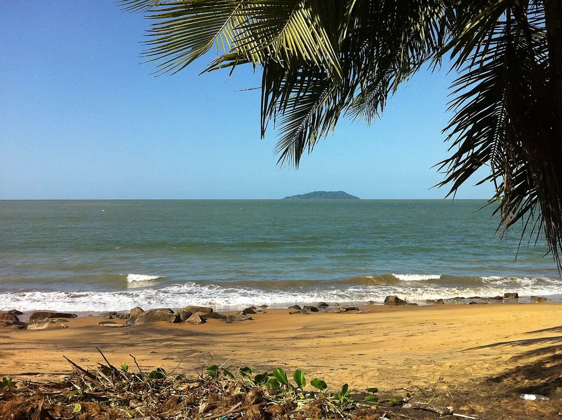 Plage de sable doré de Rémire-Montjoly près de Cayenne, en Guyane, avec palmier au premier plan et îlot à l'horizon