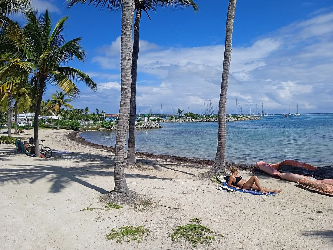 Petite plage bordée de cocotiers au lieu-dit La Voute a Saint-Francois en Guadeloupe, avec voiliers au mouillage et lagon turquoise