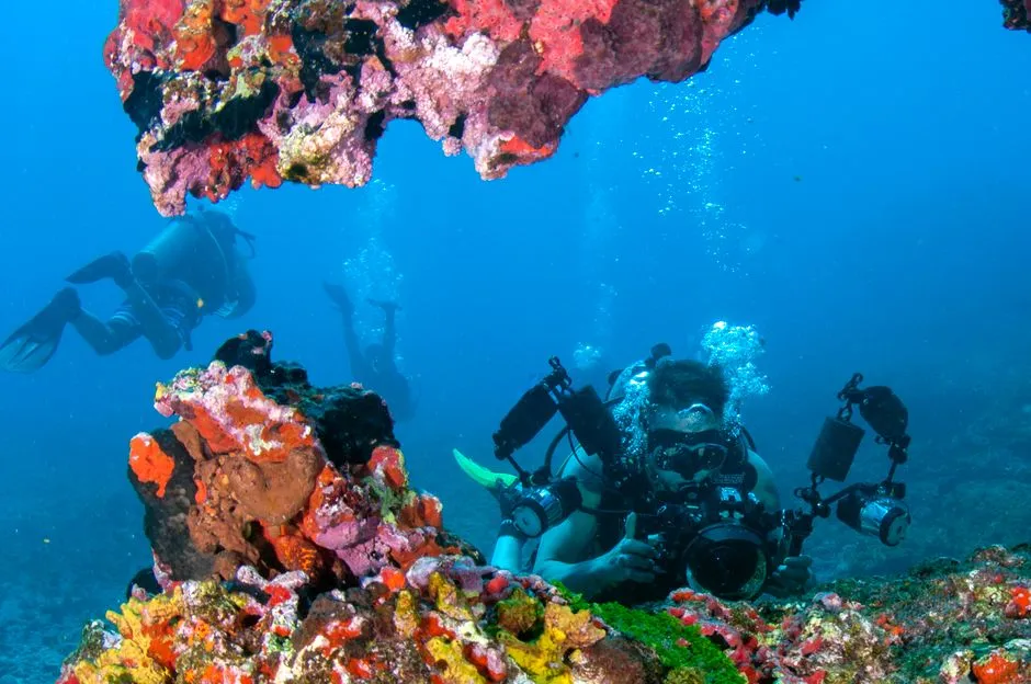 Plongeurs sous-marins explorant un récif corallien aux eaux tropicales claires, illustrant la plongée en Martinique