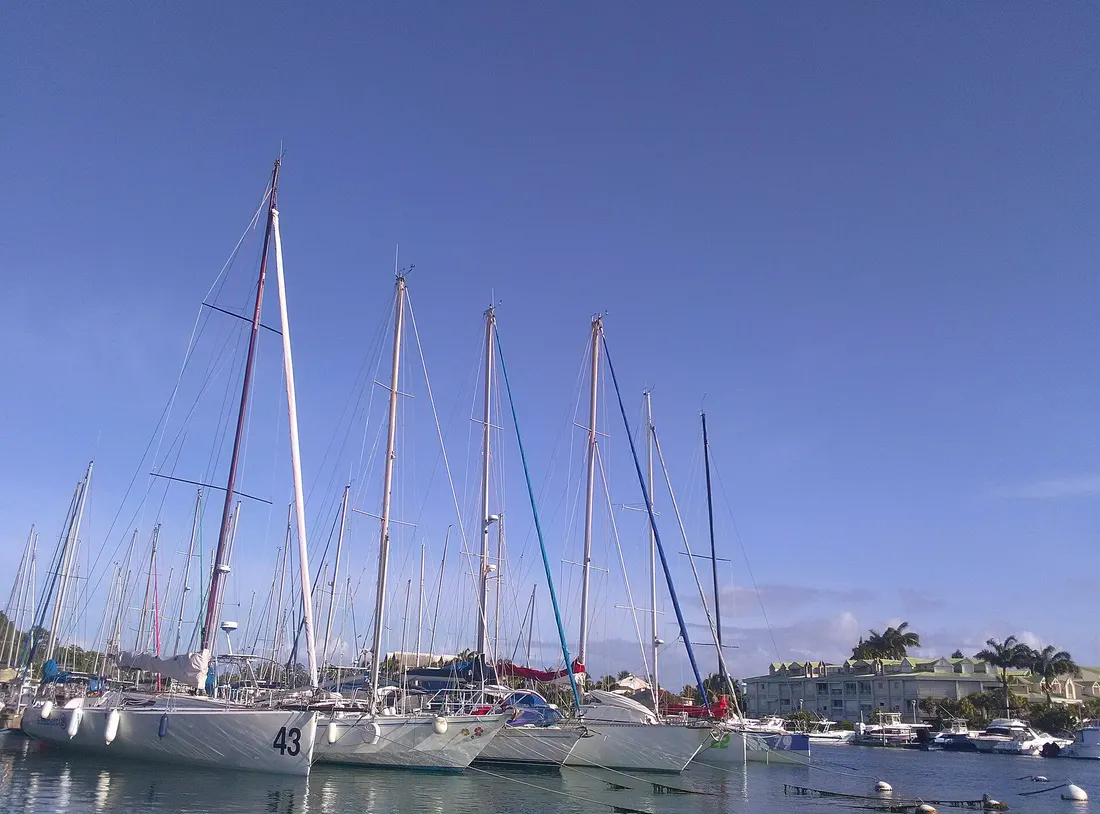 La marina du Gosier en Guadeloupe : voiliers à quai devant les palmiers et les résidences colorées du bord de mer