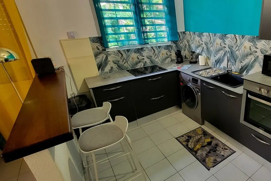 Cuisine d’un appartement Cayenne Chic : meubles anthracite, plaques, lave-linge, évier noir et crédence à feuillages