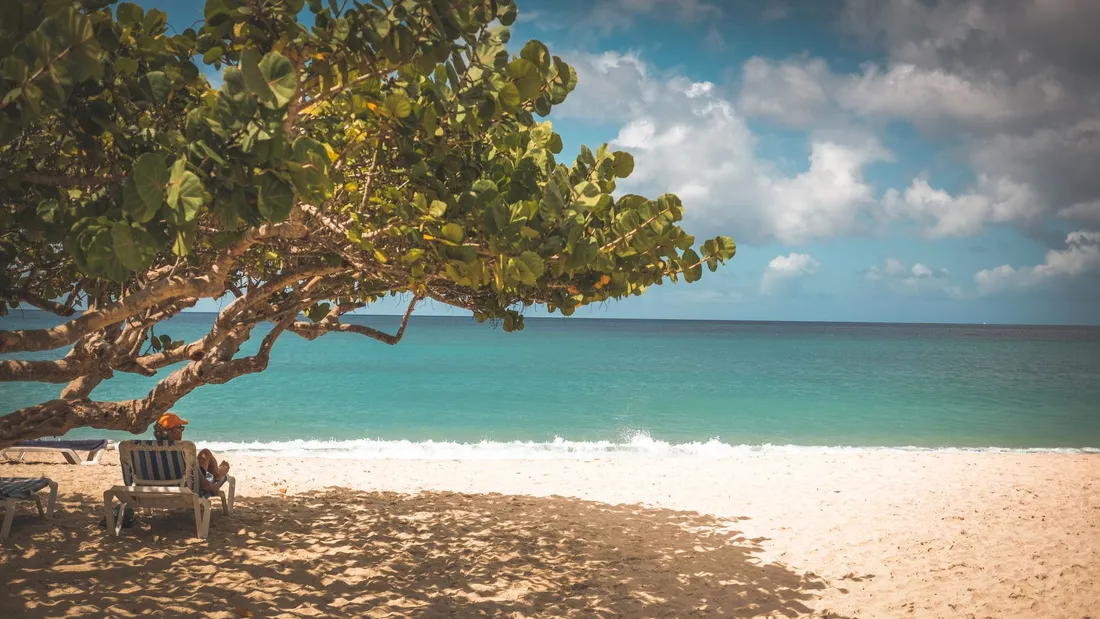 Plage des Caraibes a la mer turquoise, transat a l'ombre d'un raisinier bord de mer, ambiance detente de week-end