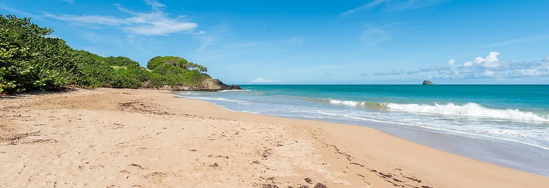 Plage de sable de Cluny en Guadeloupe sous un grand ciel bleu, eau turquoise et houle légère typiques de la saison sèche