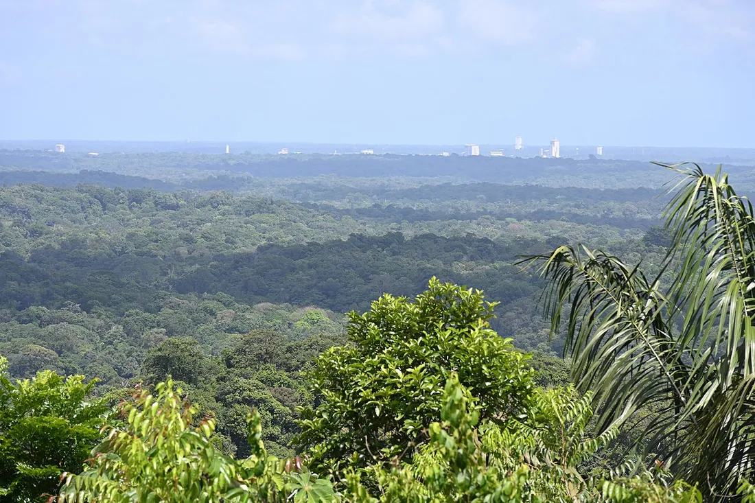 Vaste forêt tropicale de Guyane sous un ciel bleu dégagé près de Kourou pendant la saison sèche