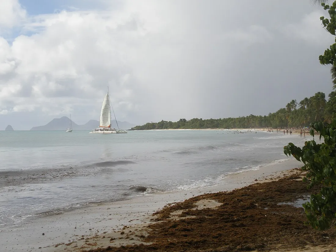 Grande Anse des Salines en Martinique sous un ciel couvert avec un rideau de pluie au large et un catamaran, illustrant la saison humide
