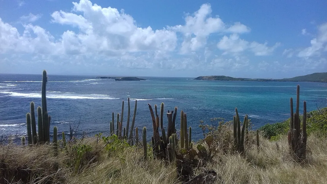 Vue sur les îlets et la mer turquoise du Sud martiniquais depuis une pointe couverte de cactus, près du Marin