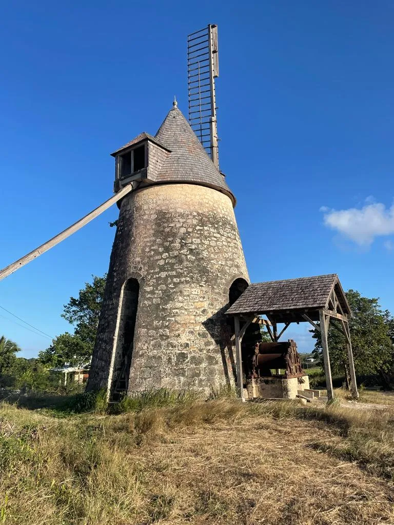 Le moulin de Bezard restaure a Marie-Galante, ancien moulin a vent en pierre de l'industrie sucriere, avec ses ailes et son hangar a broyage de cannes
