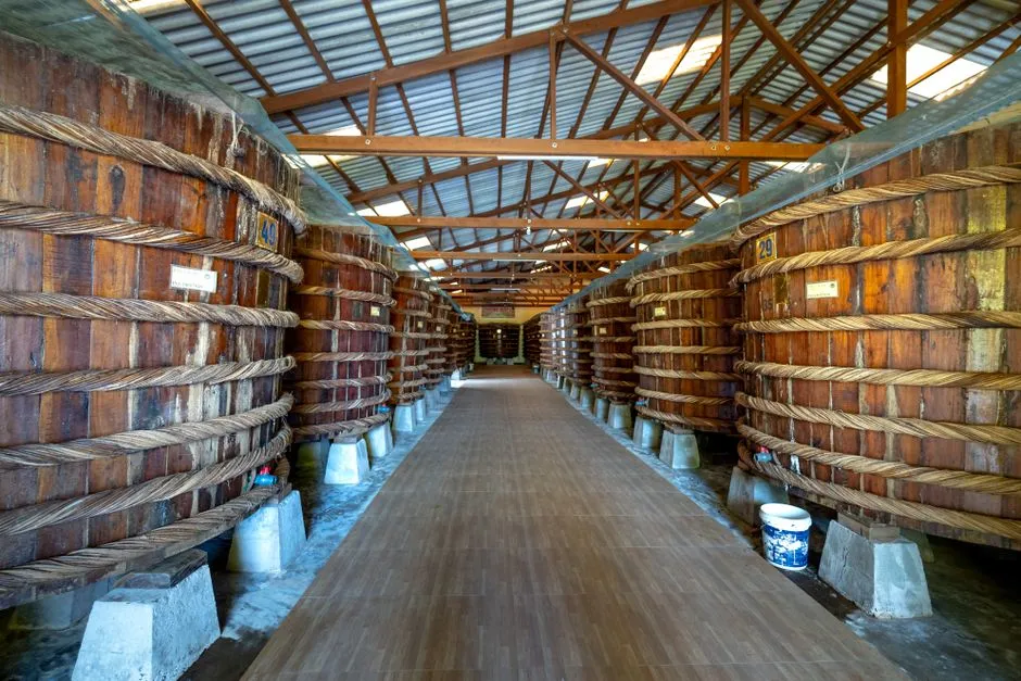 Intérieur d'un chai de distillerie avec rangées de cuves en bois, ambiance d'une visite de distillerie de rhum couverte