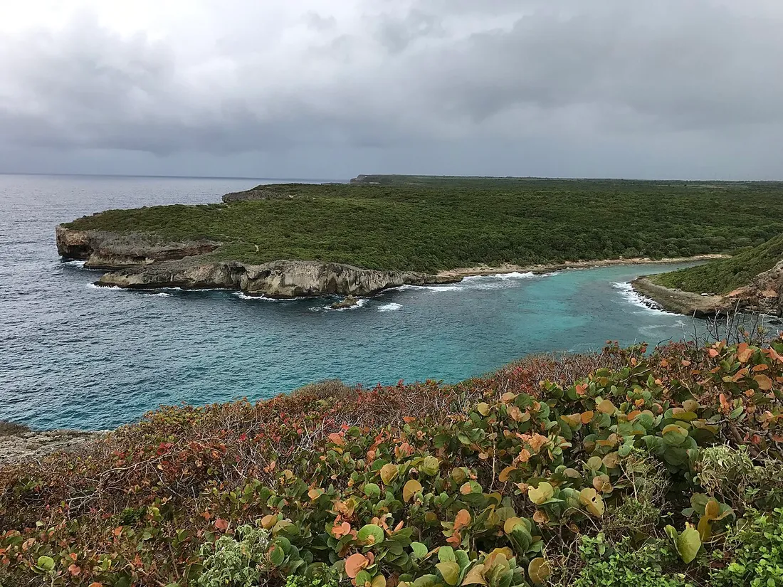 Falaises et crique turquoise de la Porte d'Enfer à Anse-Bertrand, Grande-Terre, vues depuis le sentier littoral bordé de végétation
