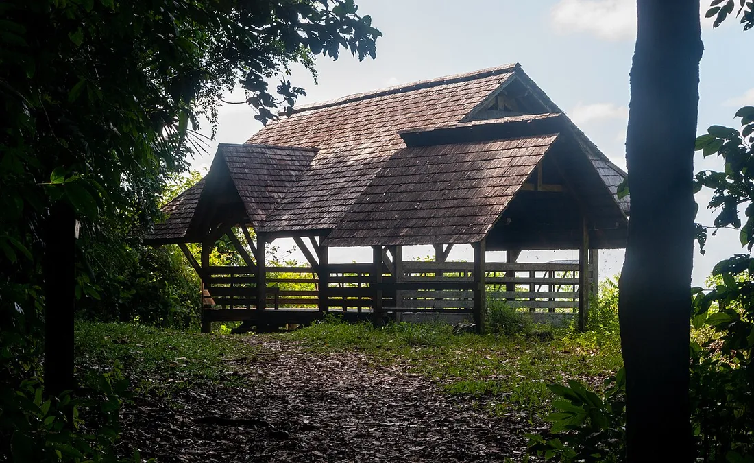 Carbet en bois traditionnel à toit de bardeaux et structure ouverte, niché dans la végétation à la Montagne des Singes près de Kourou, en Guyane
