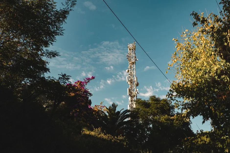 Pylône d'antenne relais de téléphonie mobile émergeant d'une végétation tropicale, illustrant la couverture du réseau mobile en Guyane