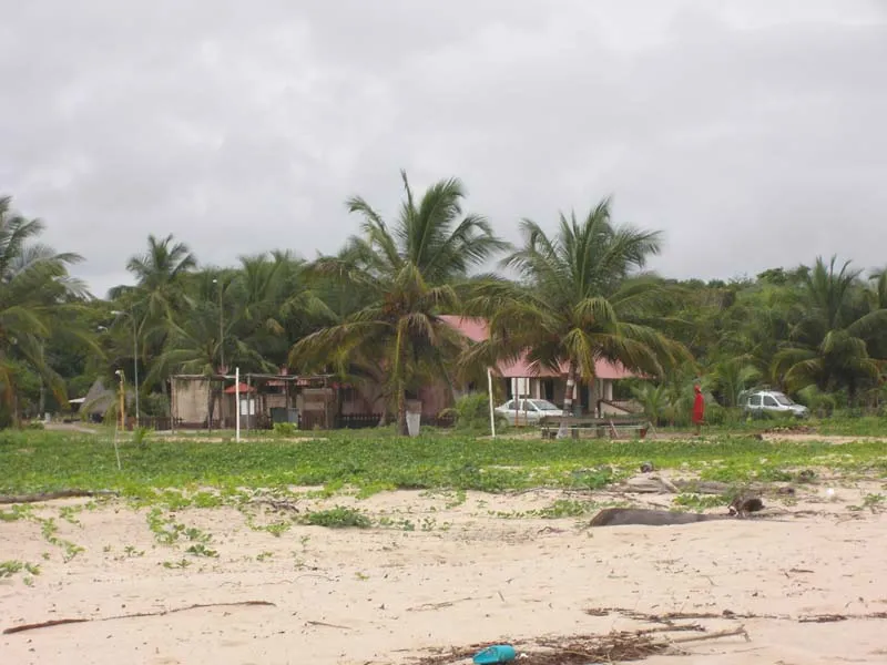 Plage et carbets du village amérindien d'Awala-Yalimapo bordés de cocotiers, au sein de la réserve naturelle de l'Amana en Guyane