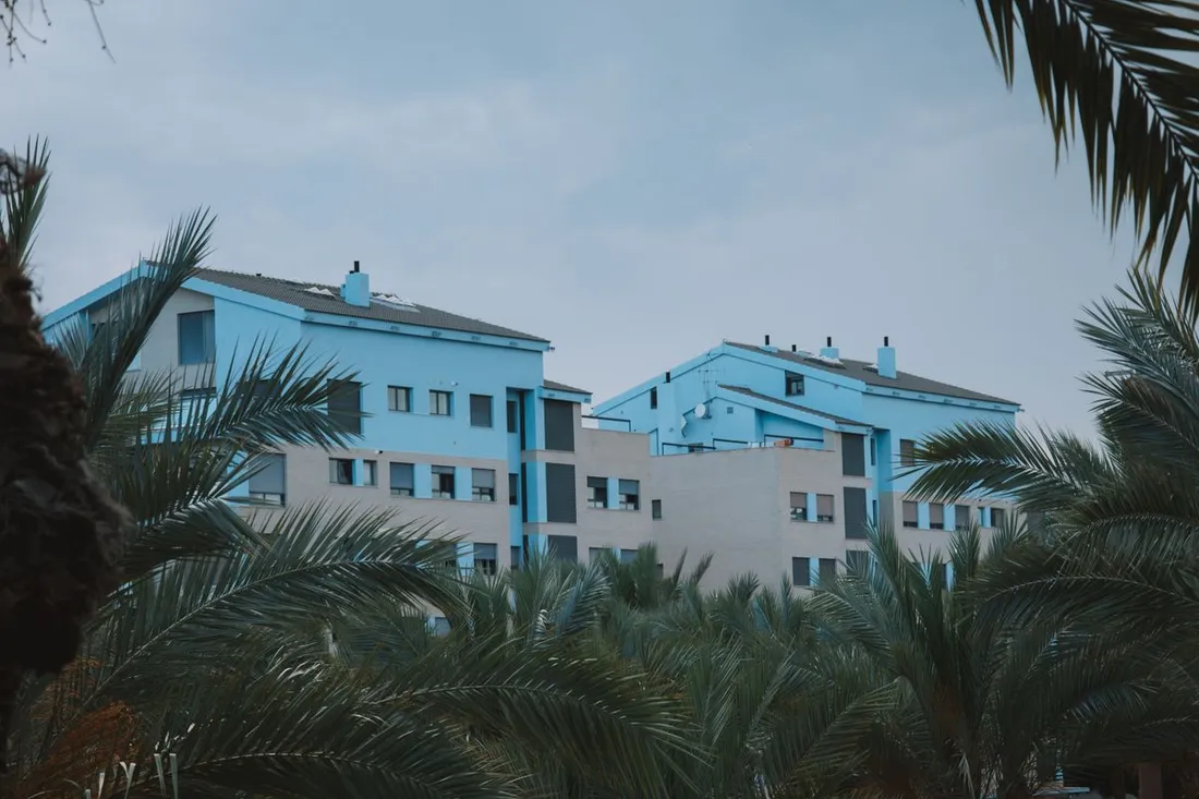 Deux immeubles résidentiels bleu clair et blanc vus du sol, partiellement masqués par les palmes de palmiers au premier plan