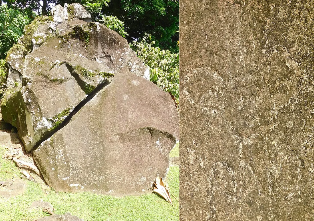 Bloc rocheux gravé au cœur du parc archéologique des Roches Gravées de Trois-Rivières, entouré de végétation tropicale en Guadeloupe