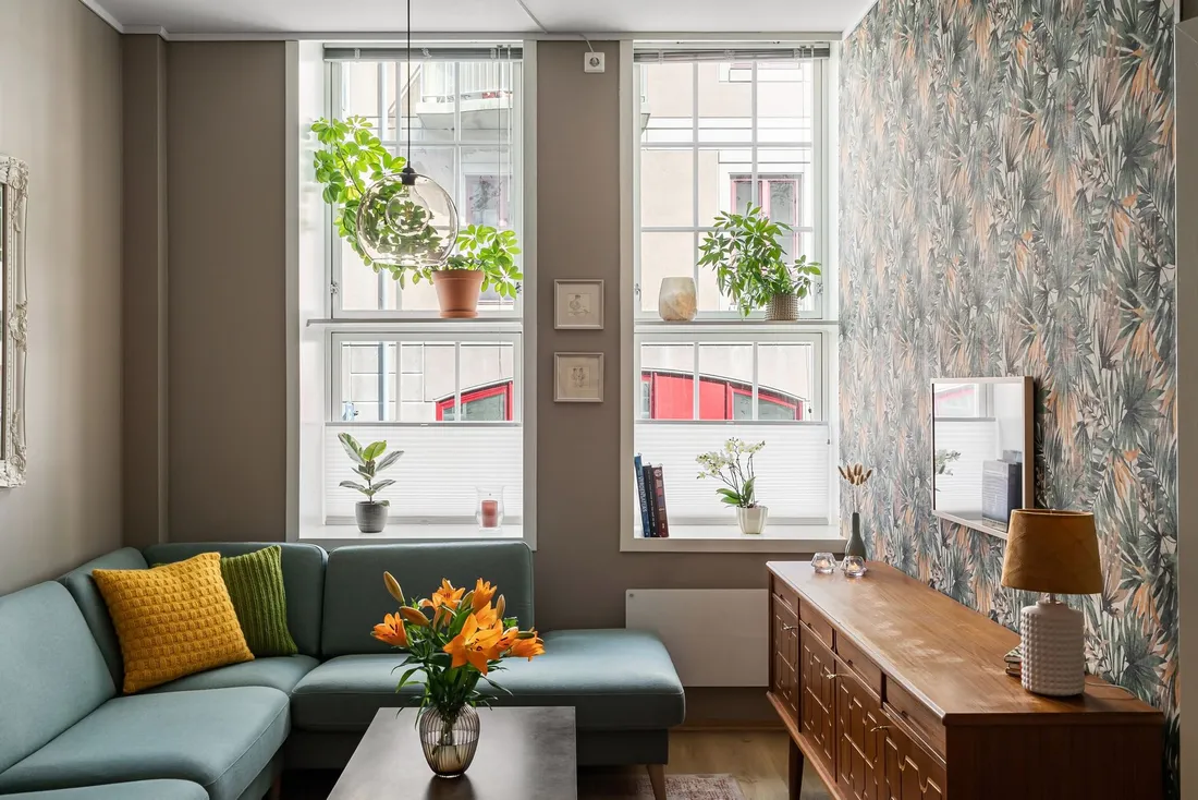 Salon lumineux et chaleureux d'un logement meuble, plantes et lumiere naturelle