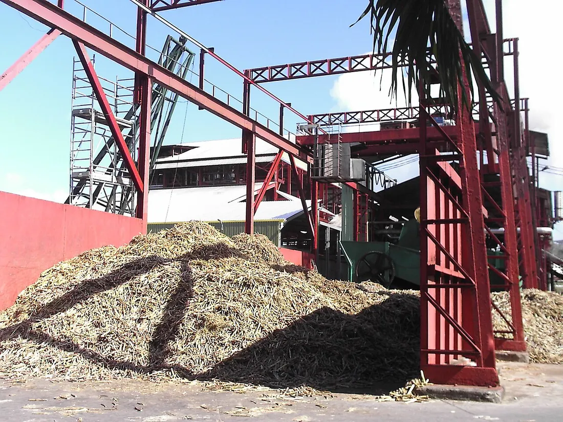 La distillerie de rhum Saint-James à Sainte-Marie en Martinique, avec sa structure rouge et la bagasse de canne à sucre