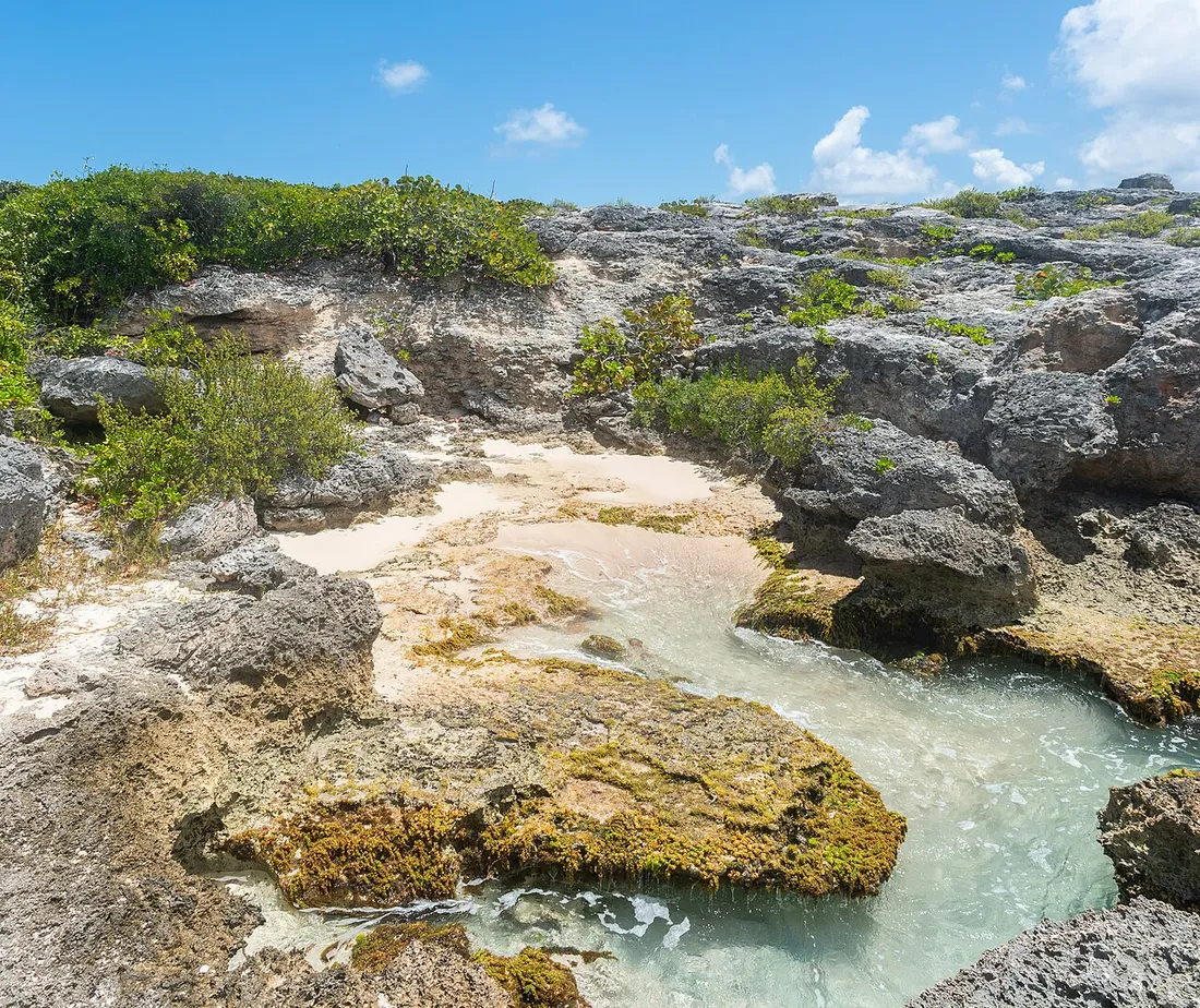 Côte rocheuse et végétation sèche de la Pointe des Châteaux en Guadeloupe sous un ciel bleu dégagé, paysage typique de la saison sèche (carême)