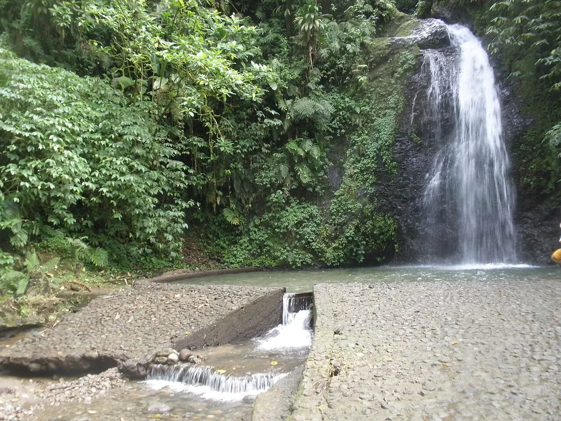 La cascade du Saut du Gendarme se jetant dans son bassin entouré de forêt tropicale à Fonds-Saint-Denis, au centre de la Martinique