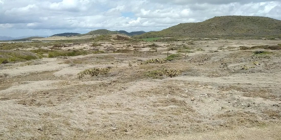 Panorama du désert minéral de la Savane des Pétrifications avec cactus, sol nu craquelé et morne en arrière-plan, sud martiniquais