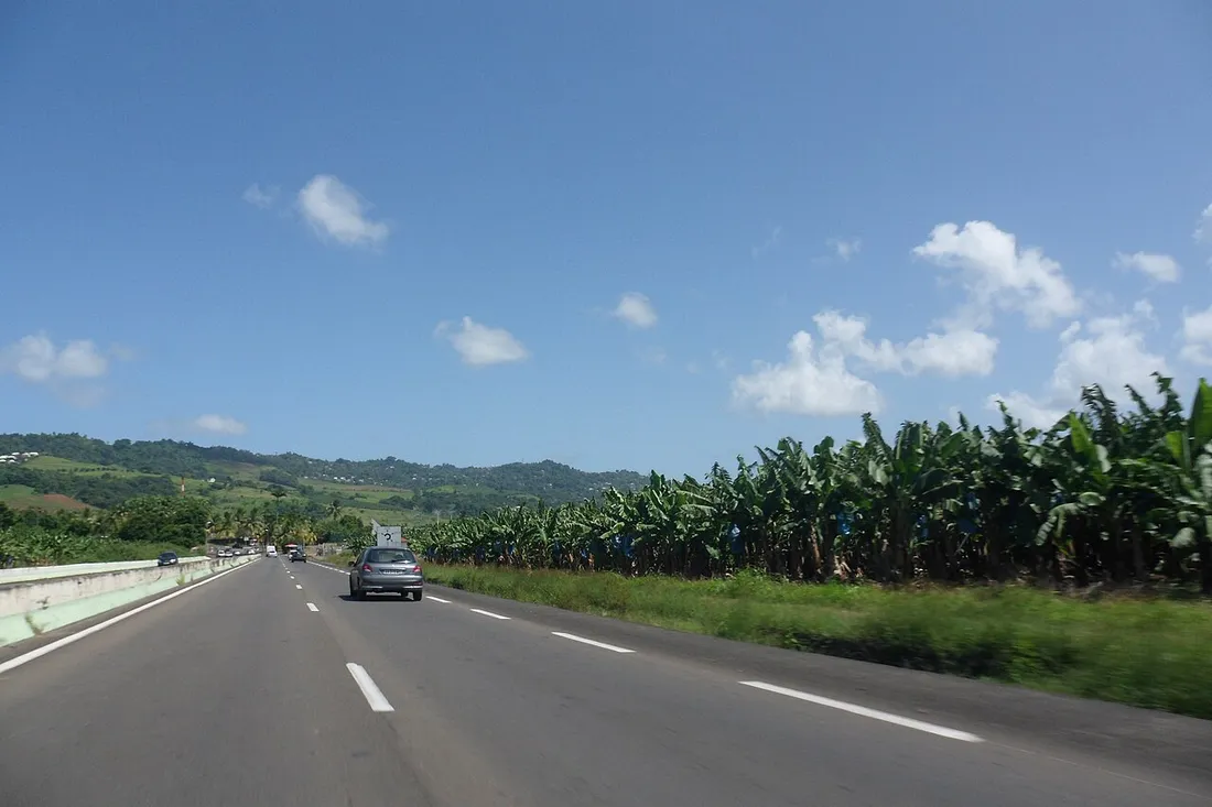 La Route Nationale 1 traversant Le Lamentin en Martinique, bordée de plantations de bananiers et des mornes de l'agglomération de Fort-de-France