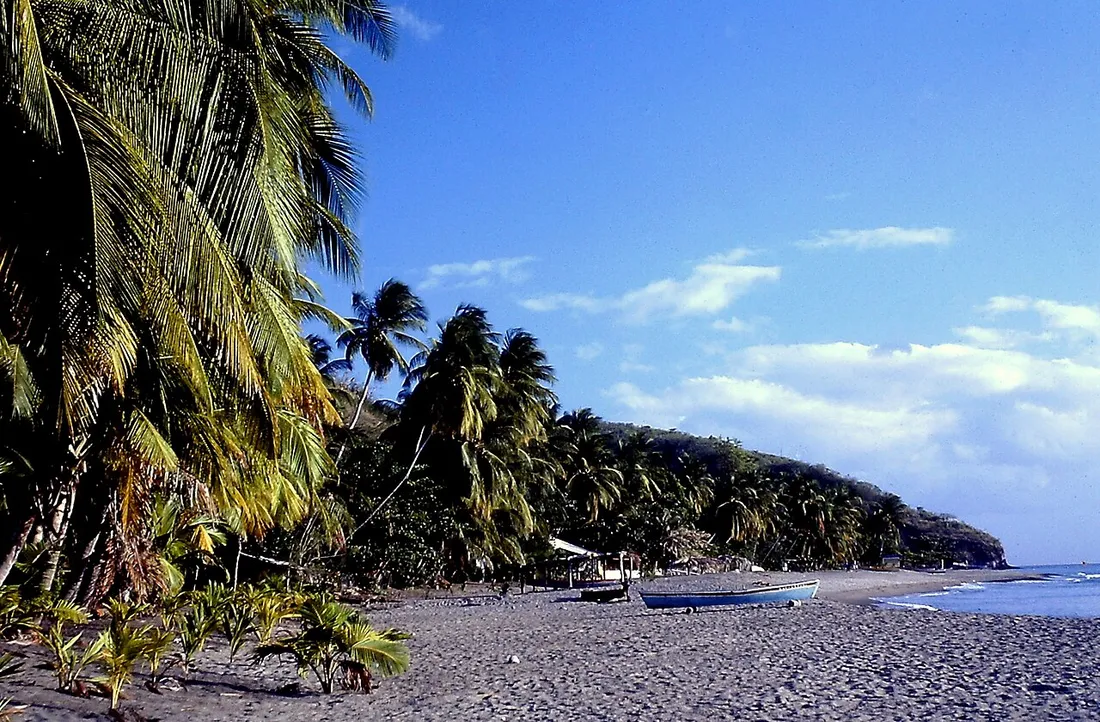 Plage de sable noir du Carbet bordée de cocotiers avec une barque de pêche sur la côte Caraïbe de la Martinique