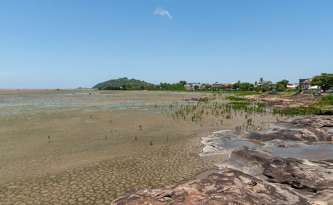Littoral de Cayenne en Guyane à marée basse, avec la mangrove côtière, les rochers et les maisons de la ville en arrière-plan sous un ciel bleu