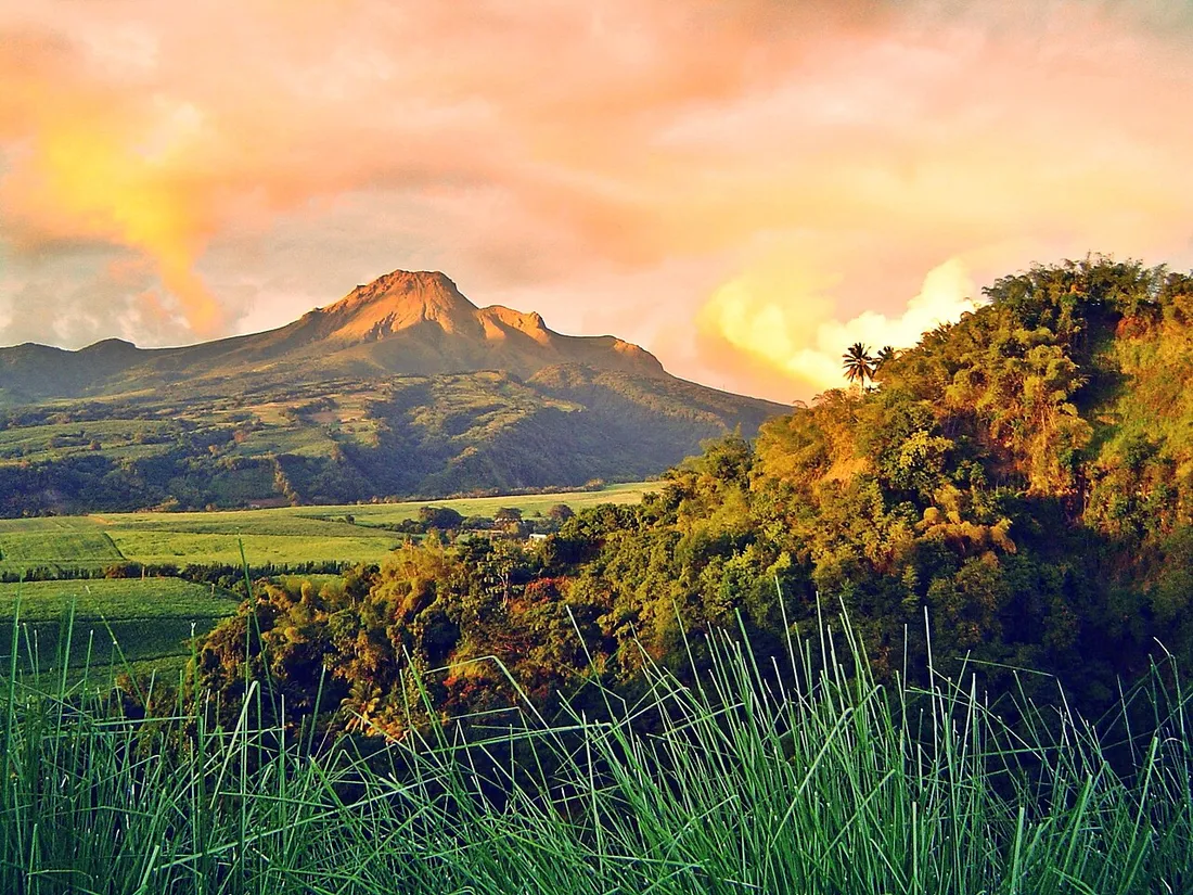 La Montagne Pelée, volcan de Martinique, se dressant au-dessus des champs verdoyants dans une lumière dorée de fin de journée