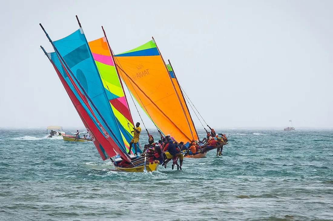 Course de yoles rondes traditionnelles aux voiles multicolores filant sur la mer en Martinique pendant une régate