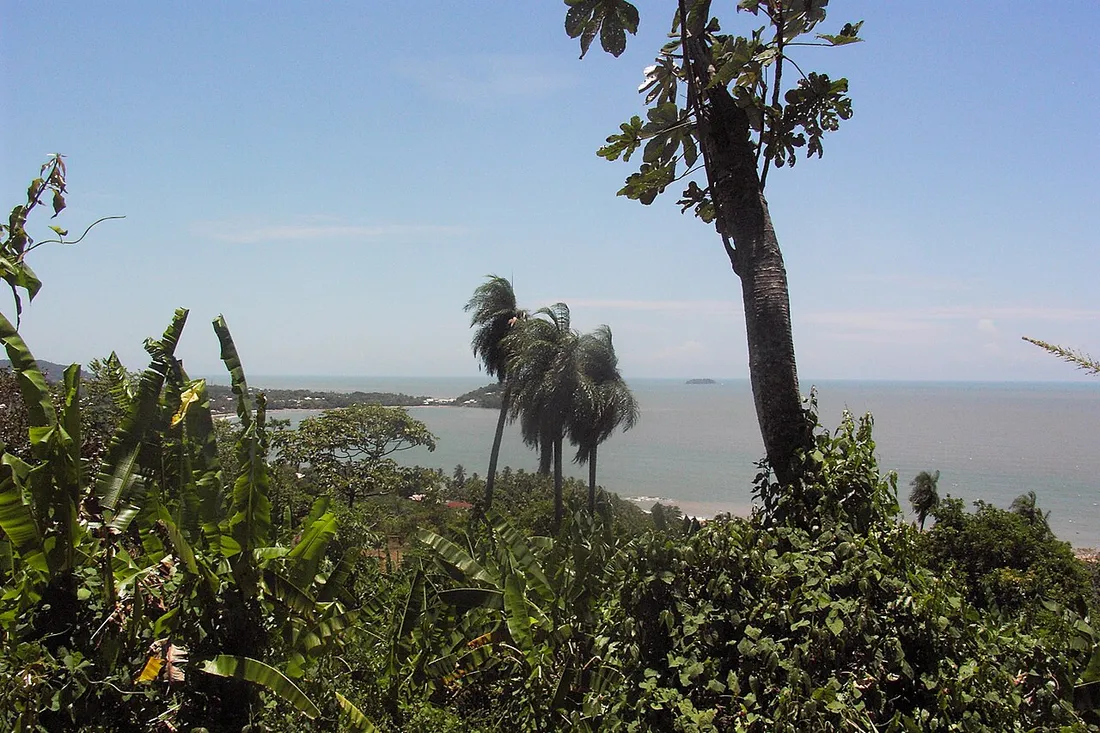 Vue sur l'ocean et le littoral depuis un point de vue du sentier du Rorota, avec palmiers et vegetation tropicale au premier plan, a Remire-Montjoly pres de Cayenne