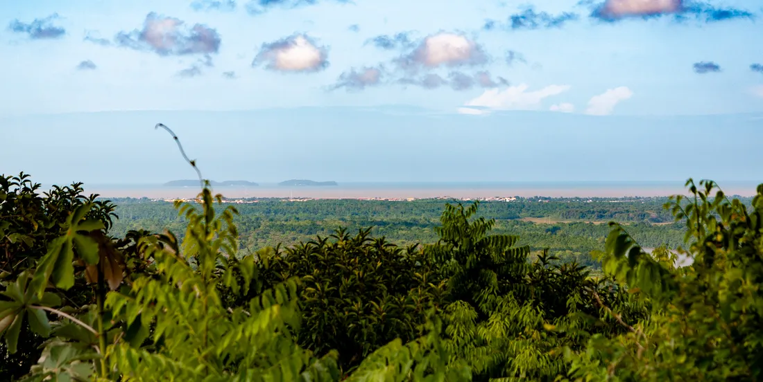 Panorama depuis le sommet de la Montagne des Singes a Kourou : foret tropicale guyanaise s'etendant jusqu'au littoral