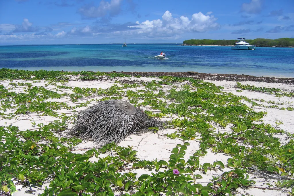 Lagon turquoise et plage de sable blanc de la reserve naturelle des Iles de la Petite Terre en Guadeloupe, avec bateaux au mouillage