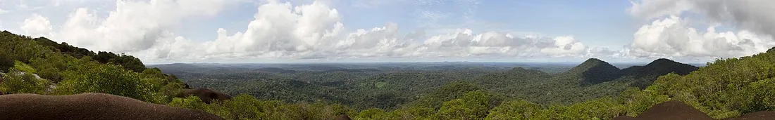 Panorama sur la canopée et les collines forestières de Guyane depuis le sommet rocheux de l'inselberg des Nouragues