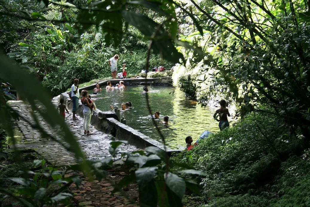 Le bassin naturel d'eau chaude des Bains Jaunes au pied de la Soufrière, en Guadeloupe, où des baigneurs profitent de l'eau thermale entourée de végétation tropicale