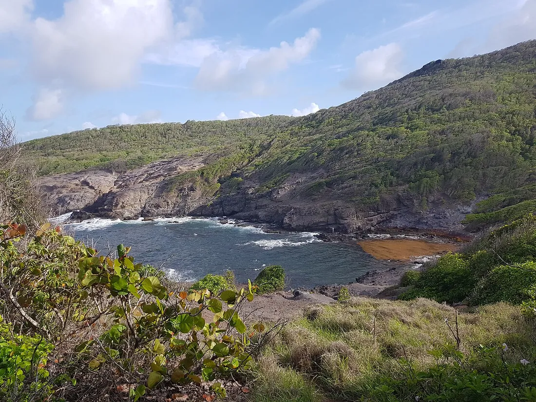 Anse sauvage et côte rocheuse boisée à la pointe de la presqu'île de la Caravelle, en Martinique