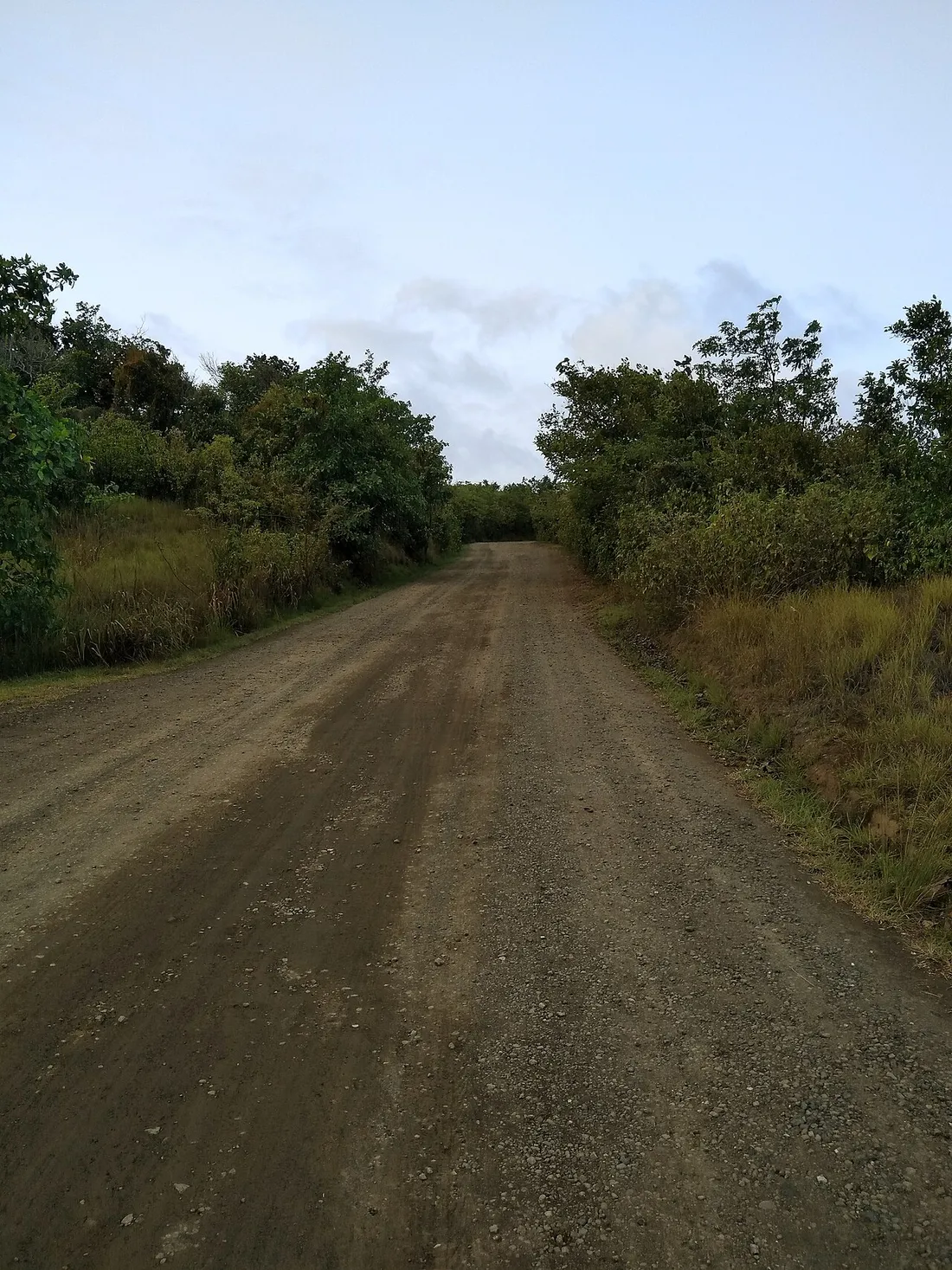 Route en terre traversant la presqu'île de la Caravelle, étape typique d'une boucle en voiture sur la côte est de la Martinique