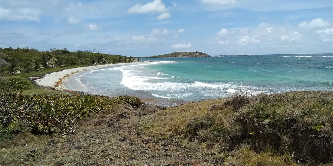 Anse Trabaud et Pointe Baham sur la côte sud sauvage de la Martinique, baie aux eaux turquoise bordée de sable blanc et de végétation le long du sentier littoral