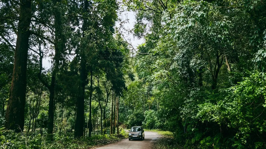 Voiture circulant sur une route traversant une forêt tropicale dense, illustrant les trajets en voiture de location à travers la Guyane