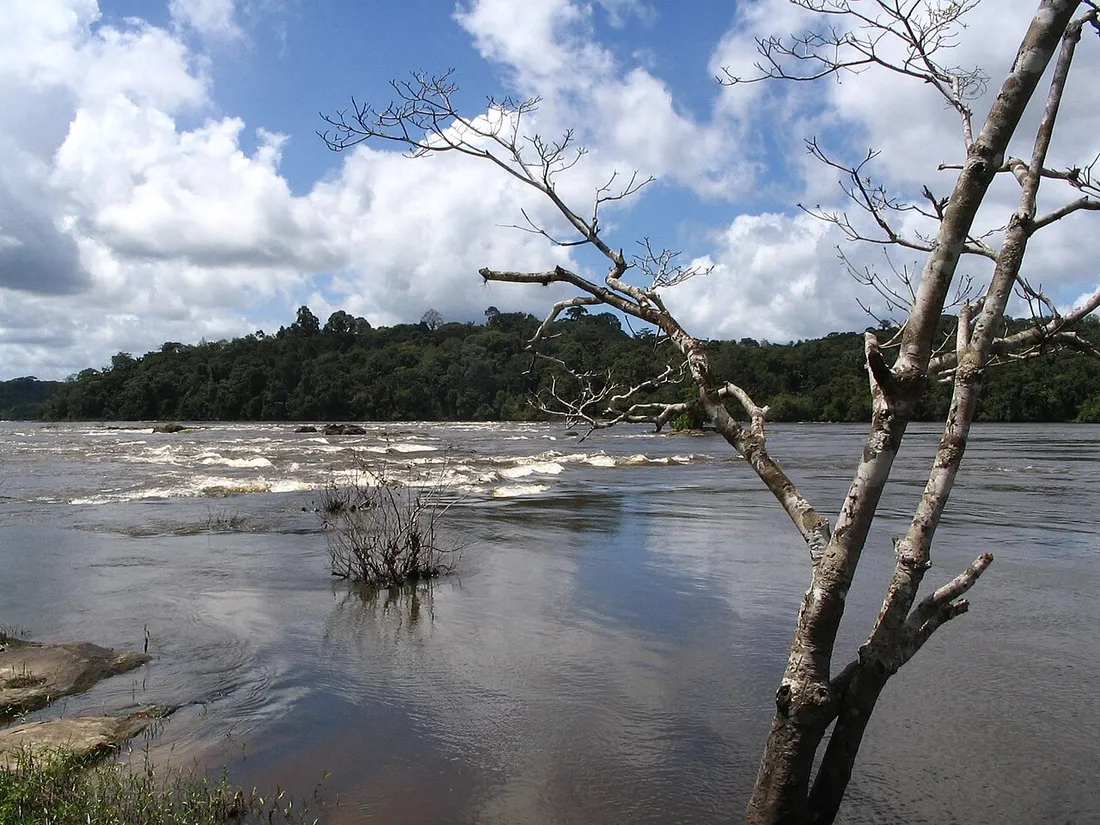 Rapides du fleuve Oyapock au cœur de la forêt amazonienne de Guyane, près des sauts du haut Oyapock