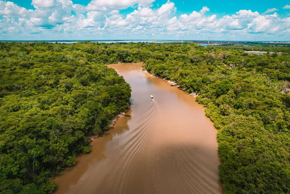 Rivière serpentant à travers la forêt amazonienne dense, milieu propice aux moustiques vecteurs du paludisme