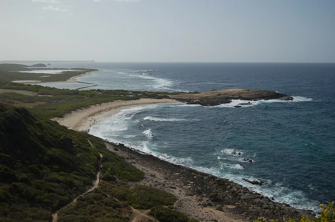 Plage des Grandes Salines en Guadeloupe avec sable clair, mer turquoise et littoral sauvage sous le soleil