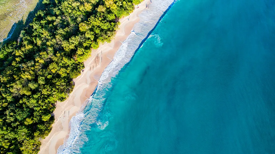 Vue aérienne de la plage des Salines en Martinique : sable doré bordé de végétation tropicale et eaux turquoise des Caraïbes